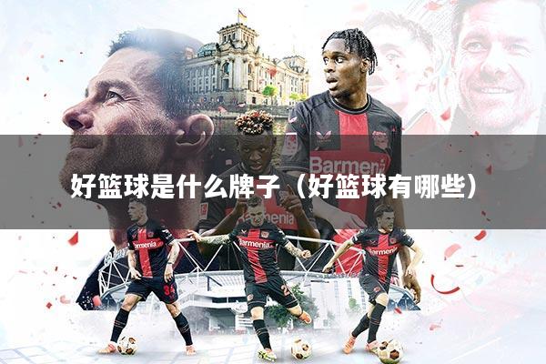 好篮球是什么牌子(好篮球有哪些)