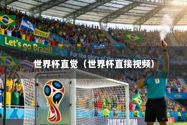世界杯直觉（世界杯直接视频）